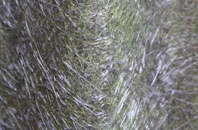 Abington Vale fibreglass roof work